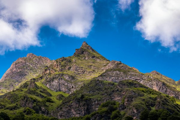 Taylor swift's private jet: luxury features and costs unveiled