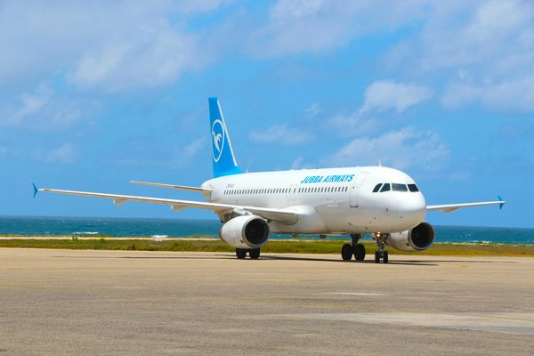 Your Complete Guide to Sustainable Camping Adventures in the UK's Wildlife Sanctuaries