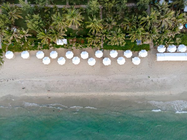 Discover the UK's Top Spring Birdwatching Spots: Journey into Nature's Finest Avian Havens